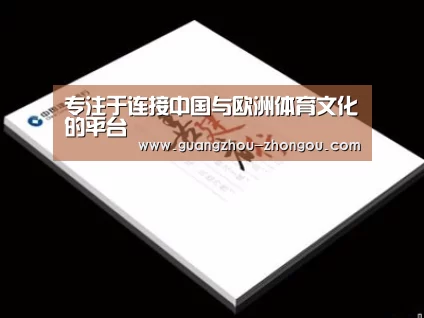 项目名称七