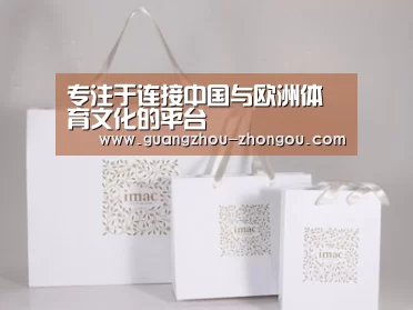 项目名称十一