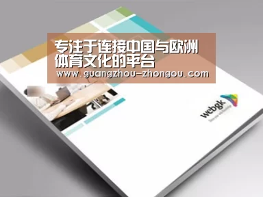 项目名称九
