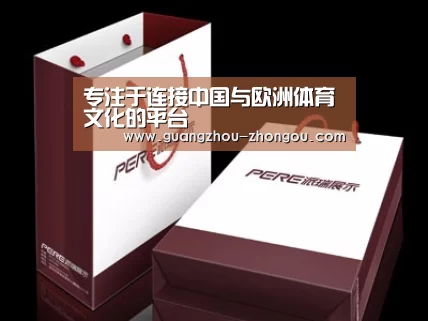 项目名称十二
