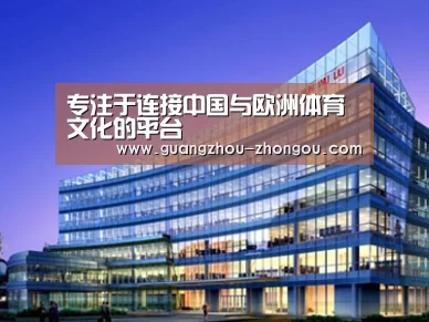 案例展示五