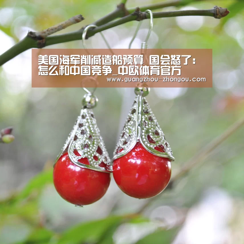 中欧体育直播